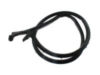 Ford F5UZ-1525325-BA Door Weatherstrip, Rear Center