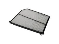 Ford XW4Z-19N619-AC Air Filter