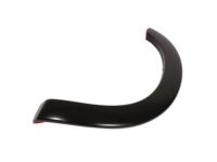 Ford BC3Z-16039-APTM Wheel Opening Molding, Front Driver Side
