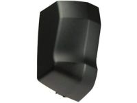 Ford FL3Z-1829076-AC Lower Molding, Passenger Side