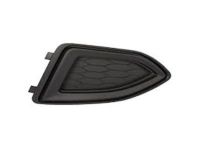 Ford FT4Z-17B814-AB Outer Grille, Front Driver Side