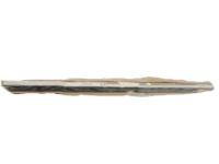 Ford 3W1Z-54255A34-AA Window Molding, Passenger Side