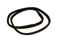 Ford 1F1Z-5443720-AA Weatherstrip, Rear