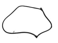 Ford 8A8Z-7420530-B Door Weatherstrip, Front Outer Passenger Side
