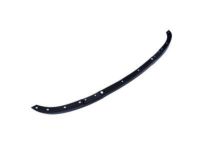 Ford 1L2Z-17626-AA Valance, Front
