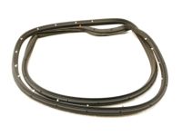 Ford XW7Z-5425324-AA Door Weatherstrip, Passenger Side