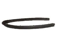 Ford 5C3Z-2521456-AA Weatherstrip - Door Belt, Inner Passenger Side