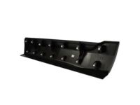 Ford FT4Z-5810176-DC Moulding, Passenger Side