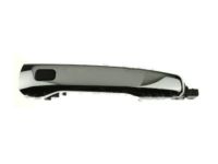 Ford BB5Z-7822404-CA Handle, Outside, Front Outer