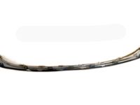 Ford HP5Z-17C830-A Molding, Center