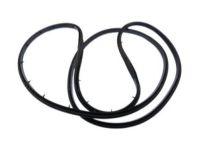 Ford 2W1Z-5425325-AA Door Weatherstrip, Driver Side