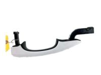 Ford DS7Z-5422405-AAPTM Handle, Outside, Rear Outer Driver Side