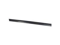 Ford 5G1Z-5425556-BAPTM Body Side Molding, Rear Passenger Side