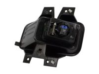 Ford JL3Z-15200-A Fog Lamp, Front Passenger Side