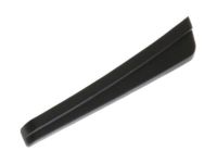 Ford GJ5Z-78018A16-AB Molding, Front Passenger Side