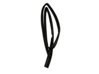 Ford AE8Z-5421597-B Run Channel, Front Driver Side