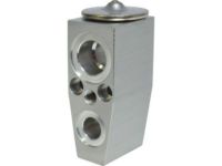Ford 7L1Z-19849-A Expansion Valve, Rear