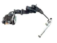 Ford DM5Z-54611B08-DB Lap & Shoulder Belt, Passenger Side