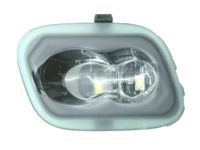 Ford FL3Z-13B374-B Puddle Lamp, Front Outer Passenger Side