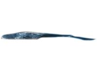 Ford F81Z-17526-AA Arm Assembly - Wiper