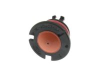 Ford FL3Z-6D603-D Check Valve, Driver Side