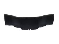 Ford CJ5Z-7804321-AA Cluster Bezel, Driver Side