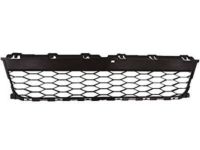 Ford FB5Z-17K945-AA Lower Grille, Front