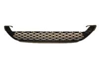 Ford FM5Z-17K945-AA Lower Grille, Front