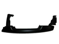 Ford DG1Z-5422404-BAPTM Handle, Outside, Front Outer