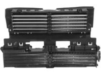 Ford DS7Z-8475-A Radiator Shutter Assembly, Front