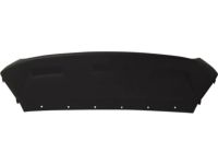 Ford GJ5Z-8419-AB Trim Molding, Carbon Black, Front