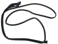 Ford BB5Z-7820530-A Door Weatherstrip, Front Outer Passenger Side