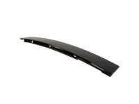Ford 1L2Z-7820555-AAA Upper Molding, Driver Side