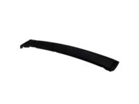 Ford CP9Z-17626-A Lower Molding, Front Passenger Side