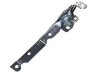 Ford BC3Z-16796-A Hinge, Front Passenger Side