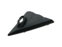 Ford CK4Z-16004-AB Upper Molding, Front Passenger Side