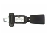 Ford 2F1Z-54611C22-AAA Extension, Front