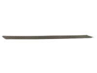 Ford FL3Z-16491-EA Mat, Driver Side