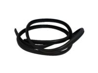 Ford 4C2Z-1520709-AB Weatherstrip On Body, Front Inner Driver Side