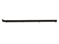 Ford F2TZ-1521456-A Belt Weatherstrip, Passenger Side