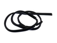 Ford CJ5Z-78253A10-B Weatherstrip On Body, Rear Inner Passenger Side