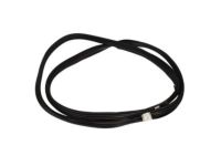 Ford 7L1Z-7820708-A Door Weatherstrip, Front Passenger Side
