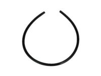 Ford 4C2Z-1541654-AA Weatherstrip, Rear Center