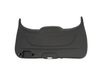 Ford CJ5Z-7842906-AA Lower Trim Panel, Rear