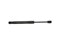 Ford AR3Z-63406A10-B Lift Cylinder, Rear