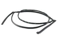 Ford AA8Z-7425324-B Door Weatherstrip, Rear Outer Passenger Side