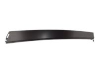 Ford 1S4Z-5420554-DA Window Molding, Front Passenger Side