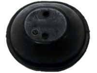Ford AA8Z-3C239-B Dust Cover, Front