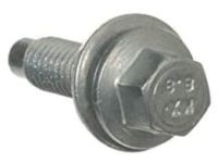Ford -W503274-S437 Converter Shield Screw, Driver Side
