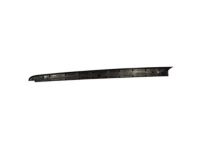 Ford 9L3Z-99291A40-BA Upper Molding, Carbon Black, Rear Passenger Side